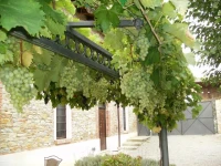 Agriturismo Casa Garello 