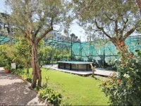 Villa La Limonaia 