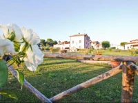 Casale Molinelle 
