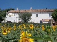B&B Casale Vega 