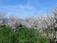 Rugiada B&B 