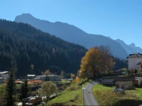 B&B Il Tulipano 