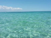 B&B Macchia Mediterranea 
