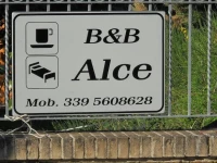 B&B Alce 