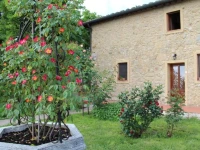 Agriturismo Il Castagnolino 