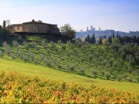Agriturismo Montegonfoli 