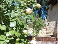 Agriturismo Sulle Orme Di Dante 