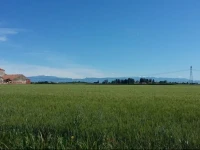 B&B Villafiorita 