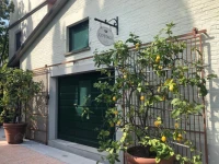Villa Alta 