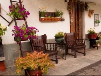 B&B La Gerbolina 