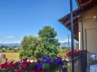 Best Western Plus Hotel Le Rondini 
