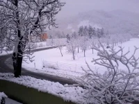 Elena Paternoster 