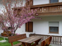 Apartments Ferdigg 