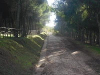 Hotel Pomara 