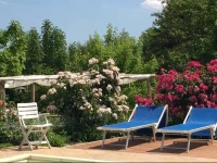 Tenuta Montegrande 