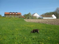 Ferienhof Rieger 