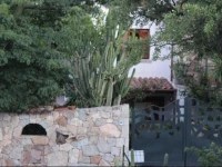 B&B Chorisia 