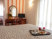 Hotel il Delfino 