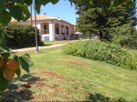 Le Muratelle 