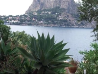 La Caletta 