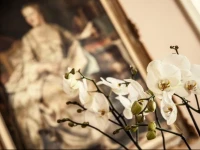 Villa Sylva & Spa 