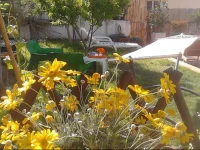 Villa Bruna B&B 