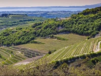 B&B Boutique Osteria della Pieve 