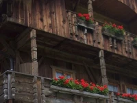 Natur Residenz Blaslerhof 