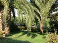 Villa dei fiori 