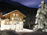 Hotel Vedig 