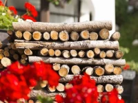 Garni Hotel Geier 