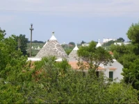 Casa Vacanze Tortorella 