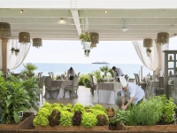 Hotel Mare Pineta 