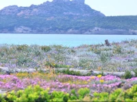 Residence FronteMare 