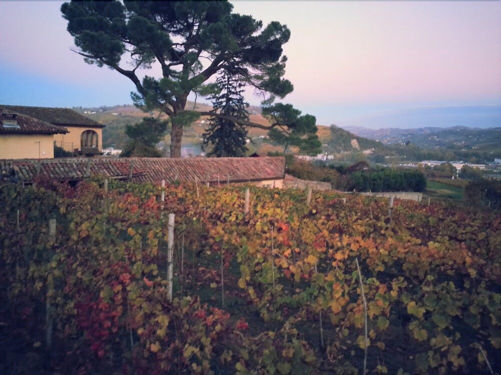 Tenuta Fagnanetto 