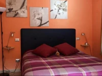 Homey B&B 