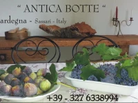 B&b Antica Botte 