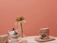 Bed and Breakfast Le Bonheur 