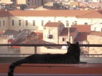 I Tetti Di Sassari 