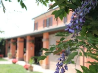 Agriturismo Maloura 
