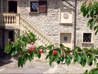Casale Murialdo 