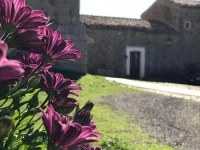 La Ferula 
