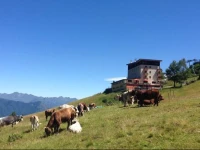 Sport Hotel Camparient 