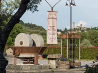 Da Roberto al Frantoio Della Belluccia 