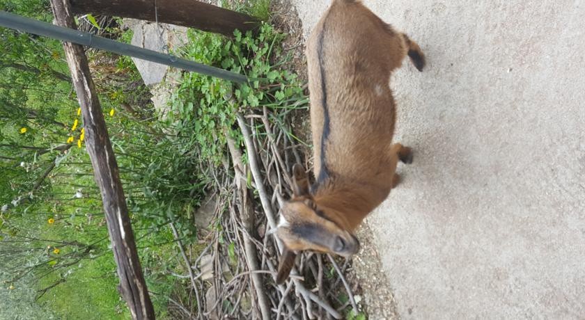 Agriturismo Ticci 