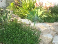 B&B Villa Margherita 