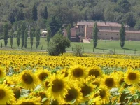 I Grandi Di Toscana 