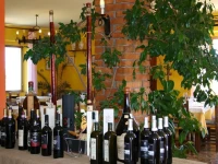 Terre DOrcia 