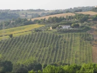 B&B Raggio di Luna 