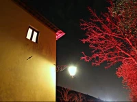 Ulivo Rosso 